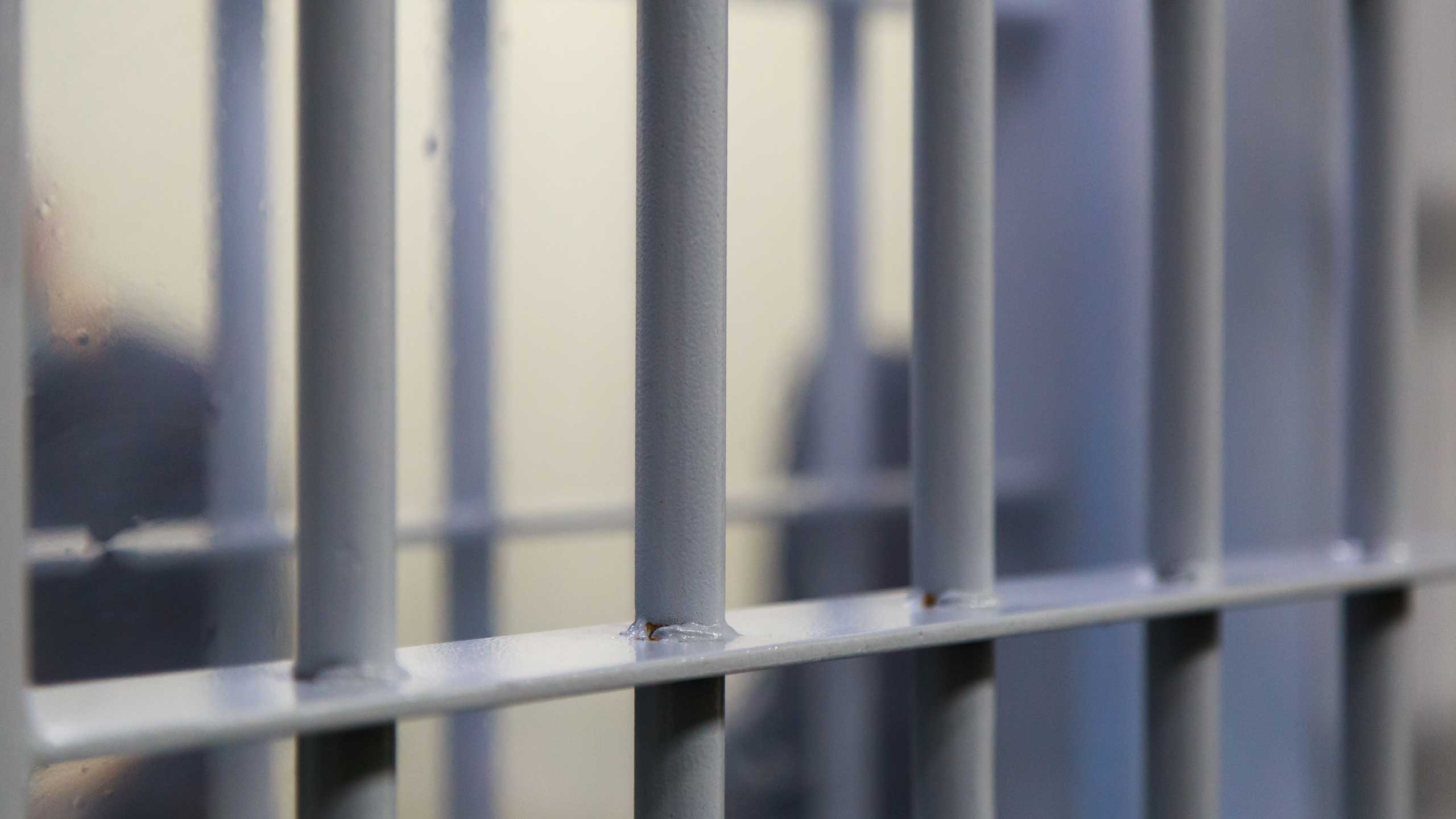 View of cell bars