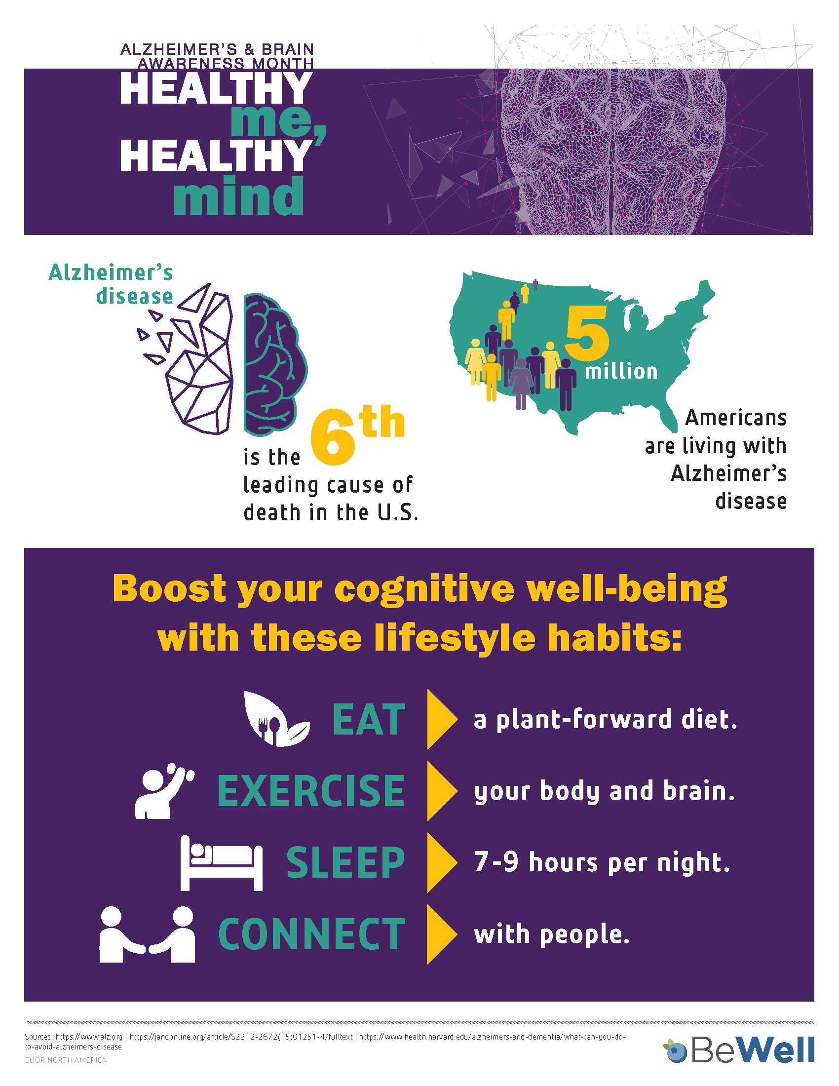 Alzheimer Brain Infographic